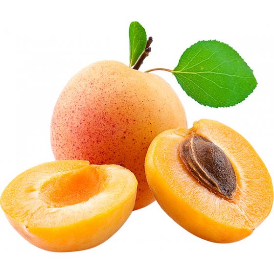 Apricot (4)