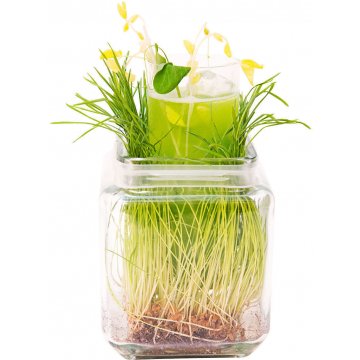 Green thumb