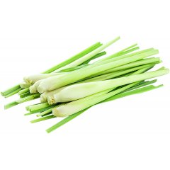 Citronella