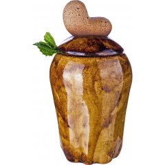 Бижу кажу