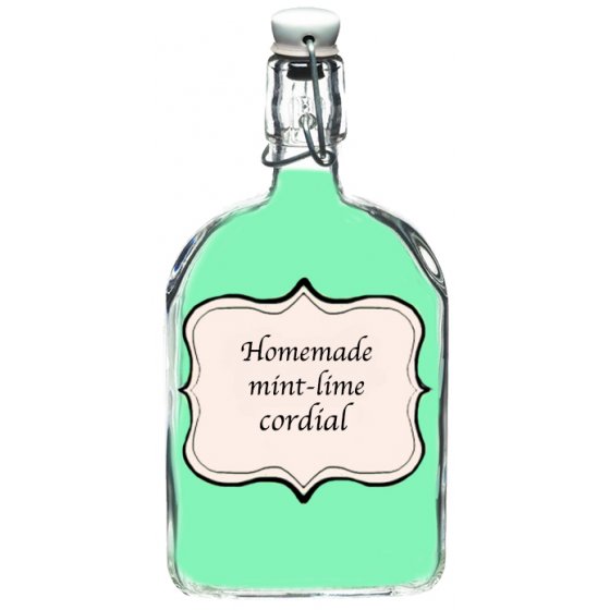 Concentrado de menta y lima casero