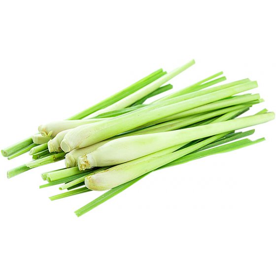 Zitronengras