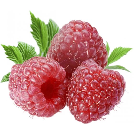 Raspberry (2)