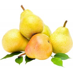 Pera