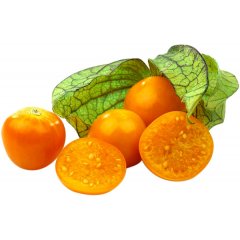 Физалис