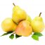 Pear (3)