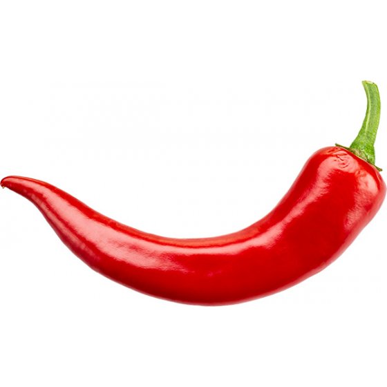 Chilischote