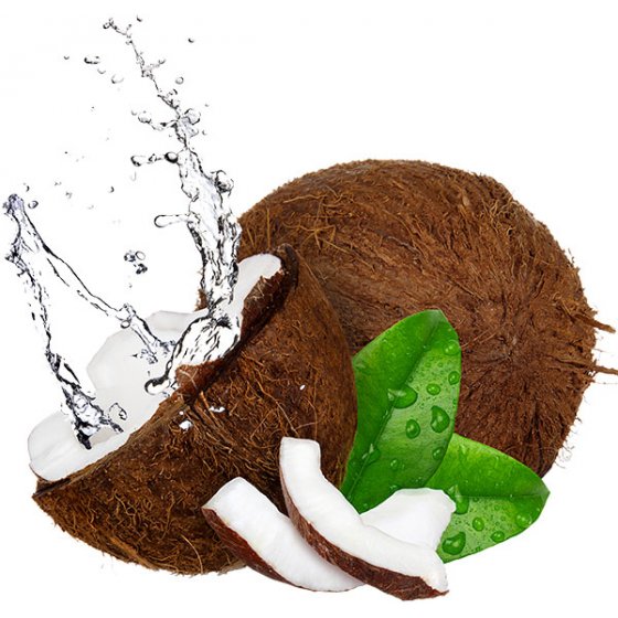 Kokosnusswasser
