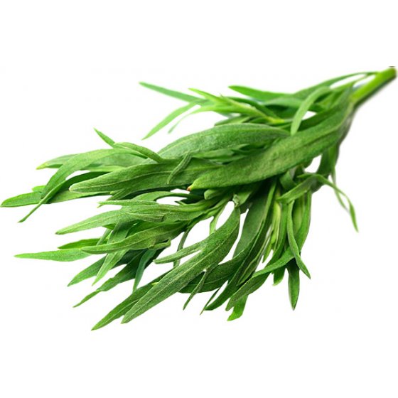 Tarragon