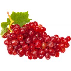 Uva rossa