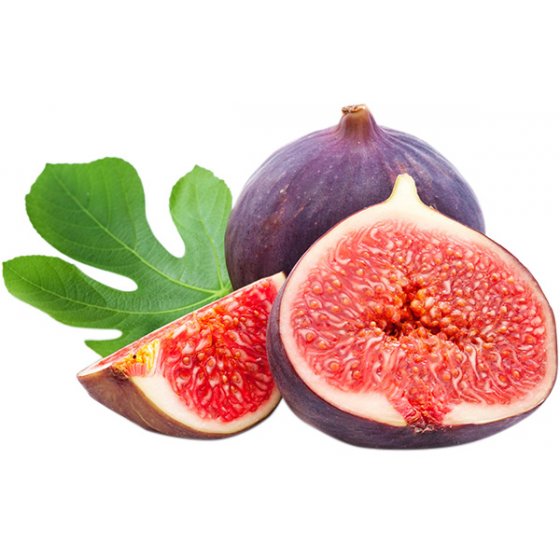 Fig