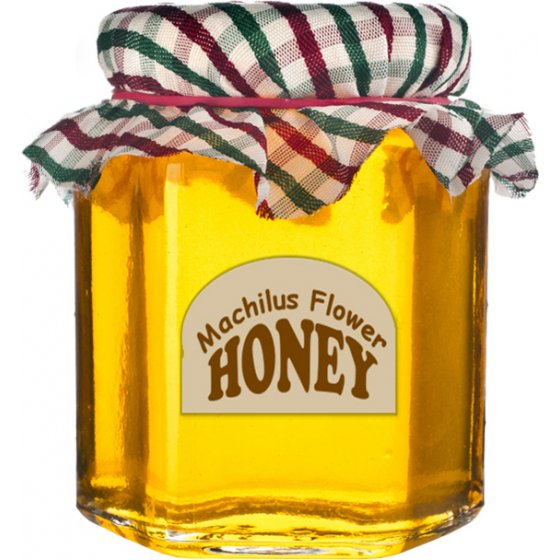 Мачилусовый мед